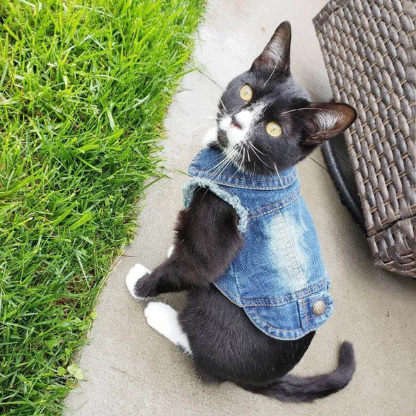 Cat Denim Vest Jacket - Casual Jeans Coat for Spring and Autumn