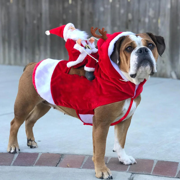 Christmas Santa Pet Costume - Holiday Outfit for Dogs and Cats
