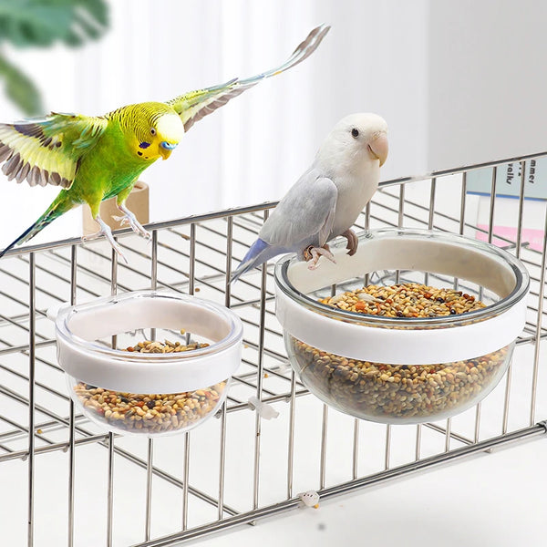 Detachable Bird Feeding Bowl - Transparent Hanging Cup for Seeds and Water