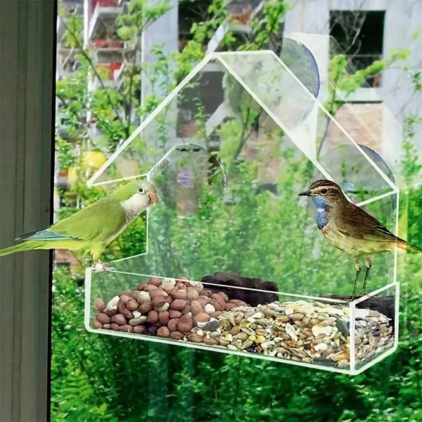 Clear Window Bird Feeder House - Acrylic Suction Cup Feeder for Backyard Birds