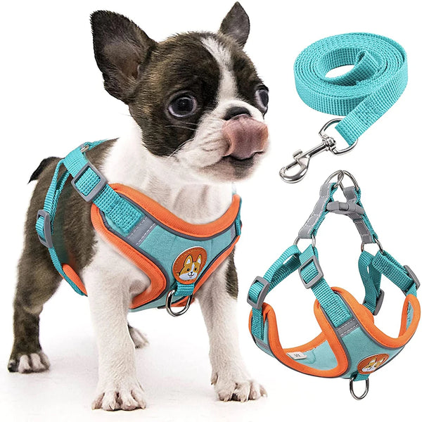 Step-In Dog Harness and Leash Set - Soft Reflective Vest for Small Breeds
