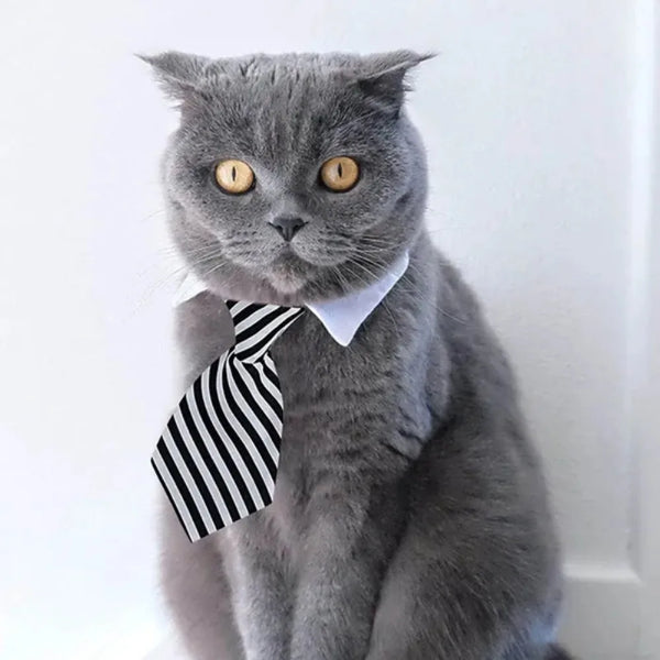 Formal Pet Bow Tie Collar - Adjustable Necktie Accessory for Dogs & Cats