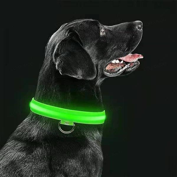USB Rechargeable LED Pet Collar - 3-Mode Luminous Safety Collar for Dogs & Cats