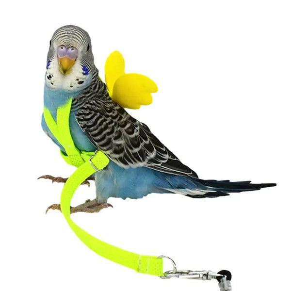 Adjustable Bird Harness and Leash Set - Outdoor Flight Training Gear for Parrots