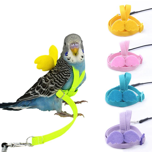 Adjustable Bird Harness and Leash Set - Outdoor Flight Training Gear for Parrots