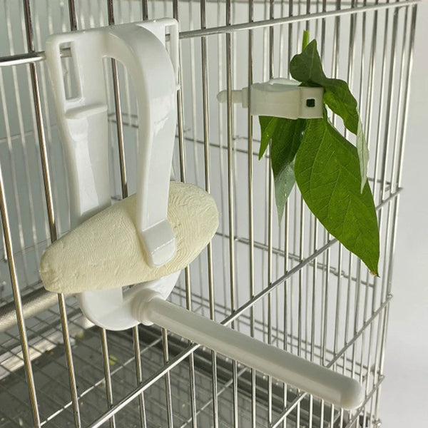 Bird Feeding Clip Holder - Fruit, Vegetable and Cuttlebone Clamp
