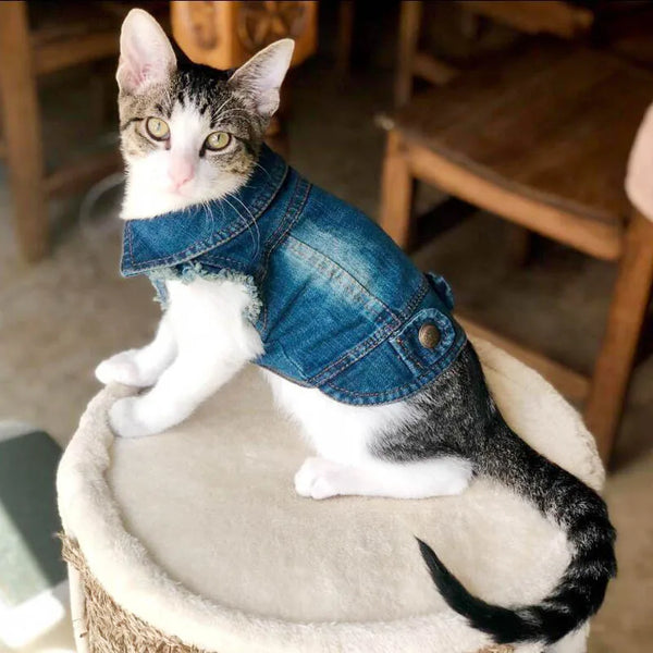 Cat Denim Vest Jacket - Casual Jeans Coat for Spring and Autumn