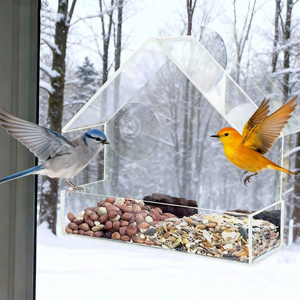 Clear Window Bird Feeder - Acrylic Suction Cup Feeder for Outdoor Viewing