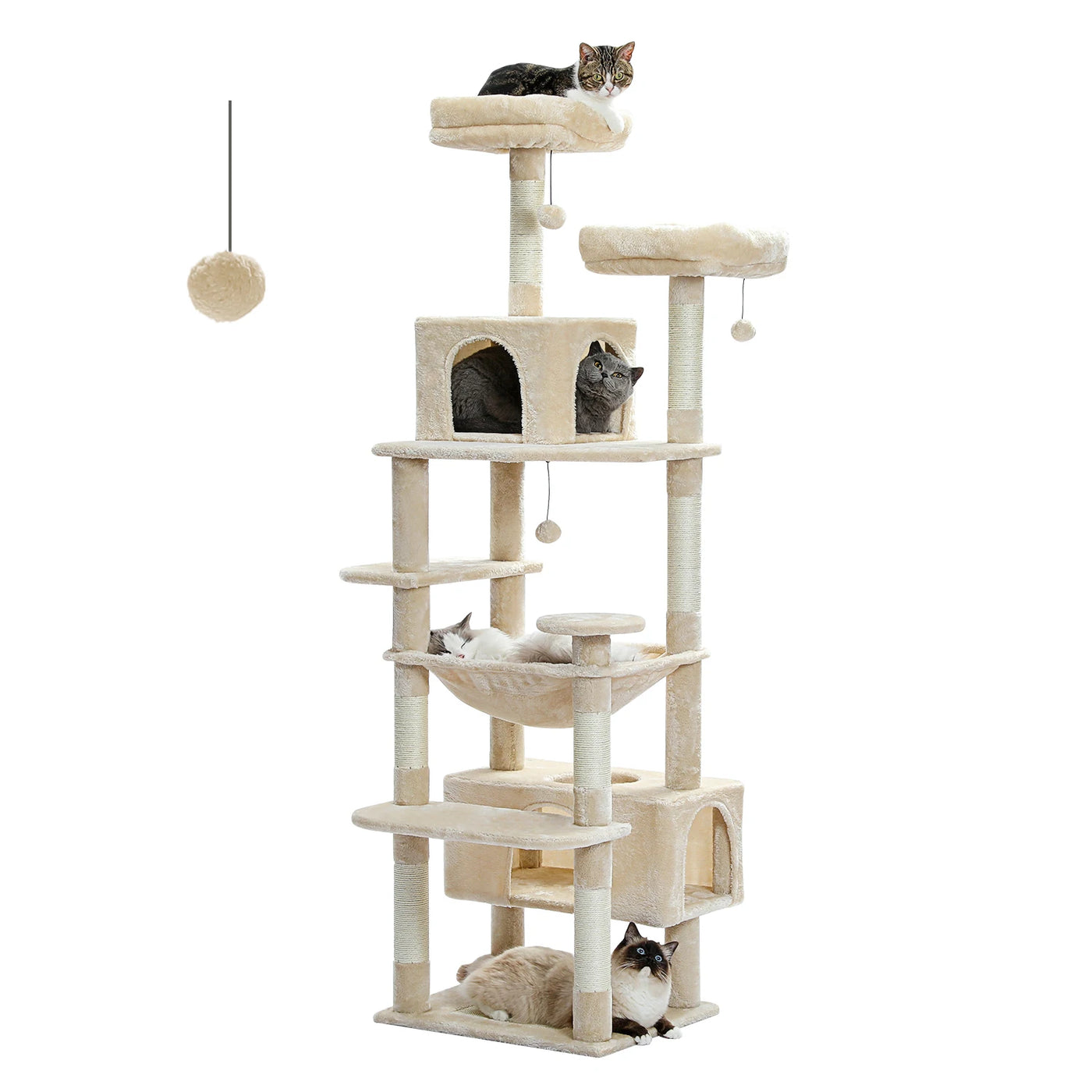 Cat Condo