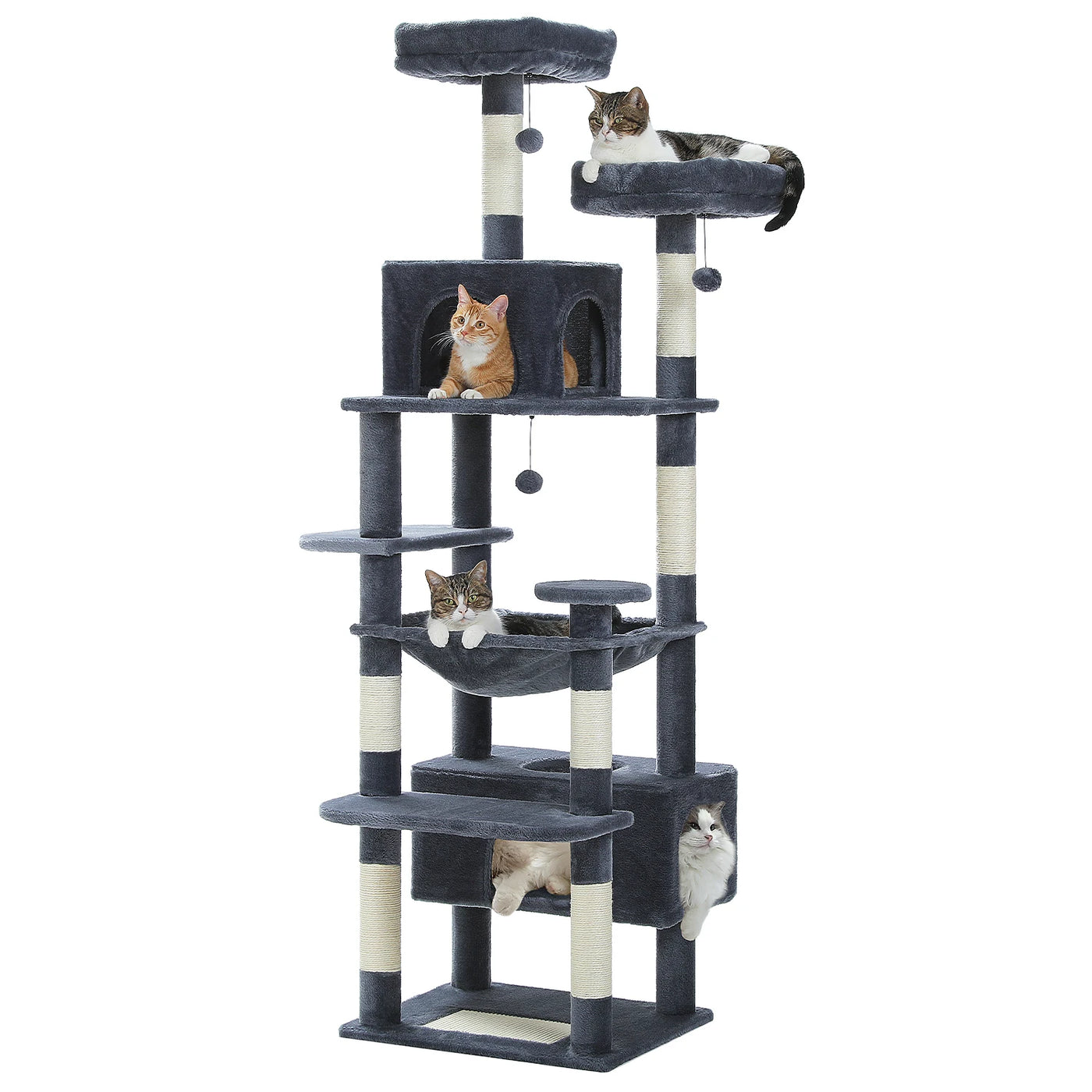 Cat Condo