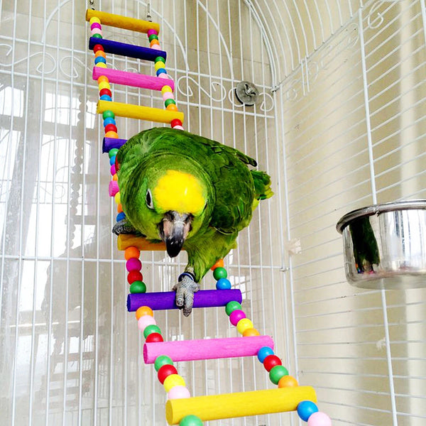 Colorful Bird Climbing Ladder - 12-Step Hanging Bridge Toy for Parrots