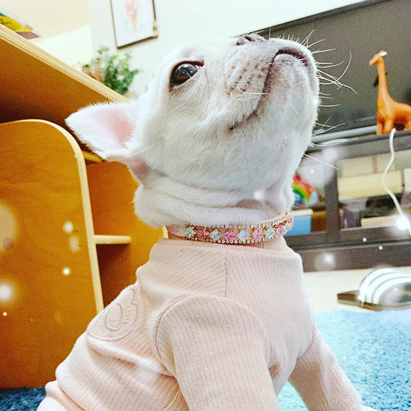 Pearl Rhinestone Pet Necklace Collar - Luxury Accessory for Cats and Small Dogs