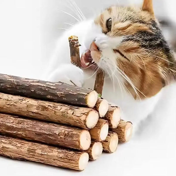 Natural Catnip Sticks - Dental Chew Toys for Cats
