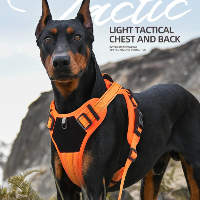 Reflective No-Pull Harness