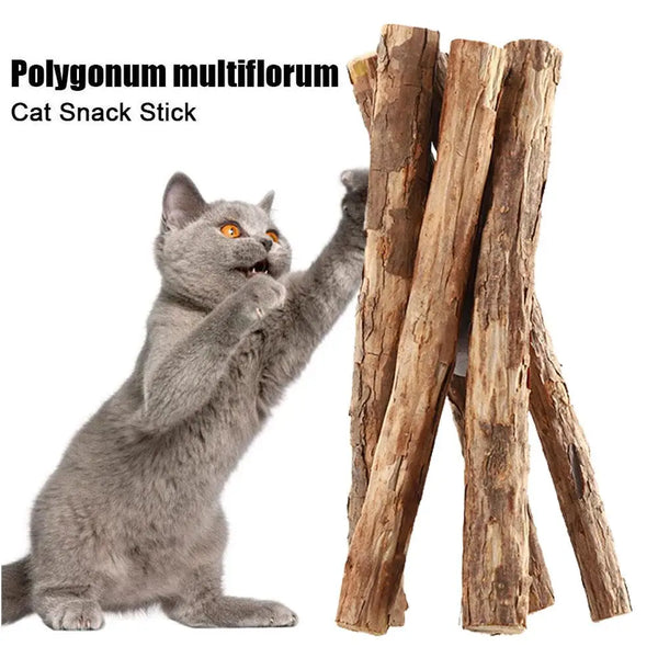 Natural Catnip Sticks - Dental Chew Toys for Cats