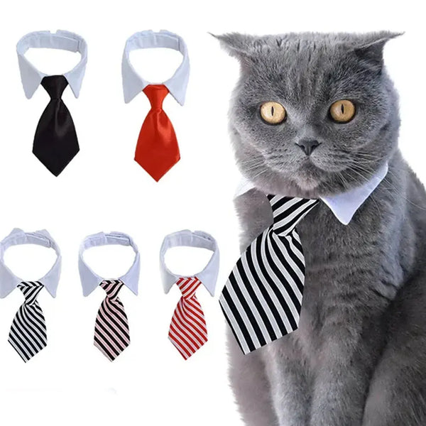 Formal Pet Bow Tie Collar - Adjustable Necktie Accessory for Dogs & Cats
