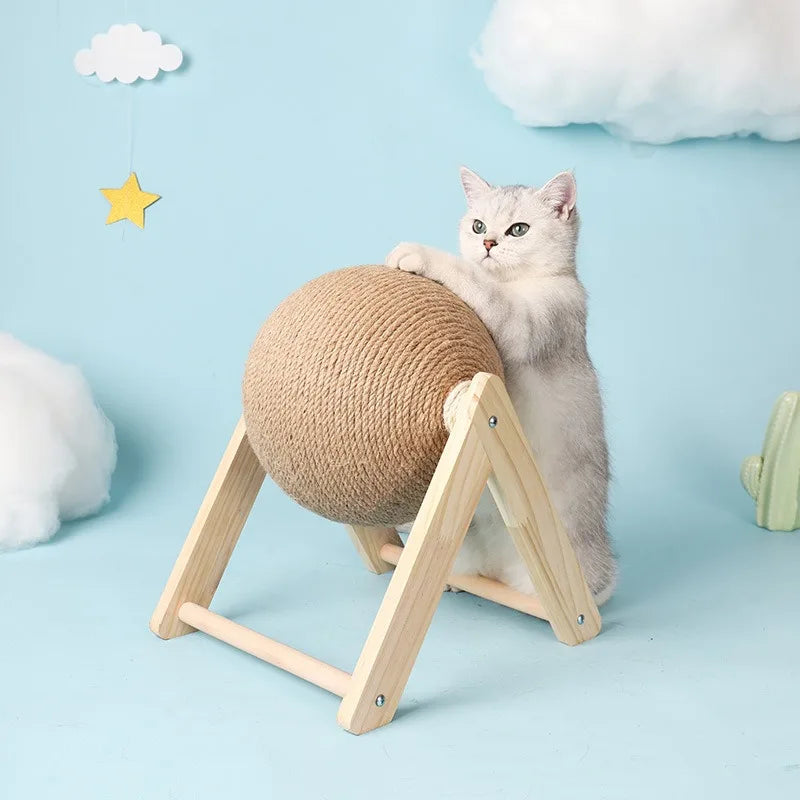Cat Accessories