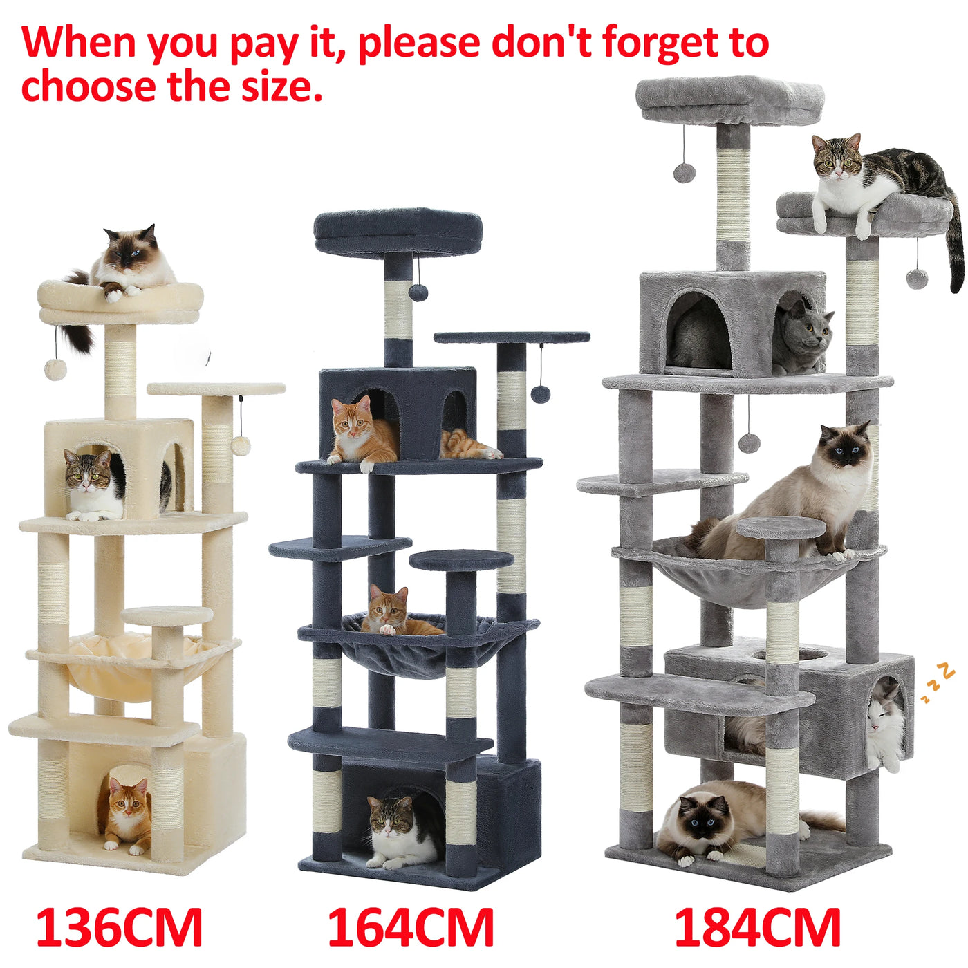 Cat Condo