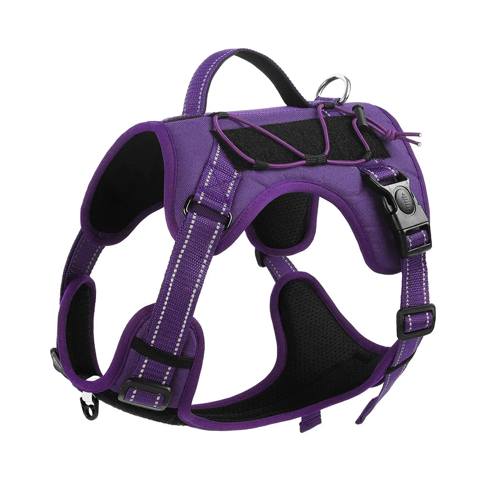 Reflective No-Pull Harness