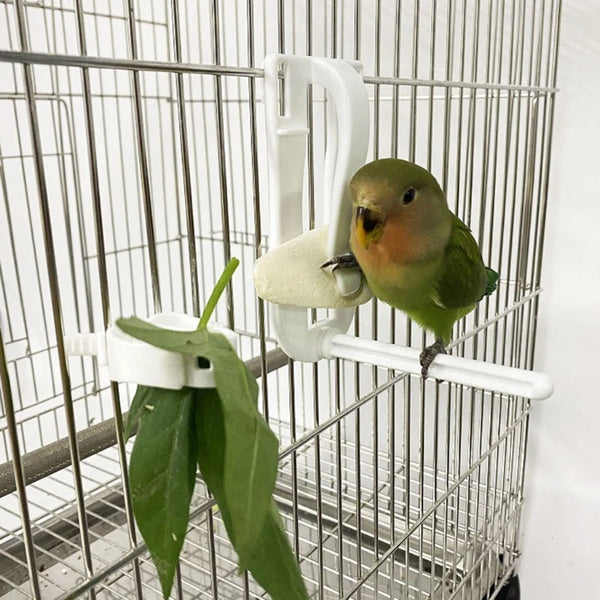 Bird Feeding Clip Holder - Fruit, Vegetable and Cuttlebone Clamp